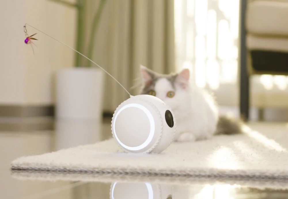 best indoor camera for watching pets