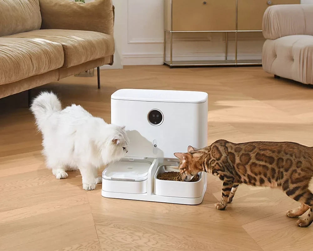 pet smart automatic pet feeder